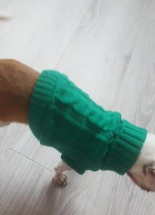 Вязаный свитер для собак и котов, тёплый свитер на заму. одежда для сфинкса5 фото