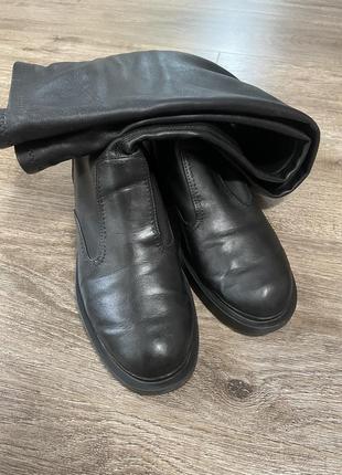 Ботфорты зара zara