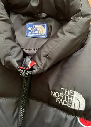 Зимовий пуховик унісекс the north face2 фото