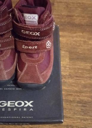 Шкіряні черевички для дівчинки в гарному стані 22 розмір geox