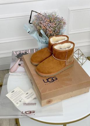 Жіночі угги ugg brown женские уггы