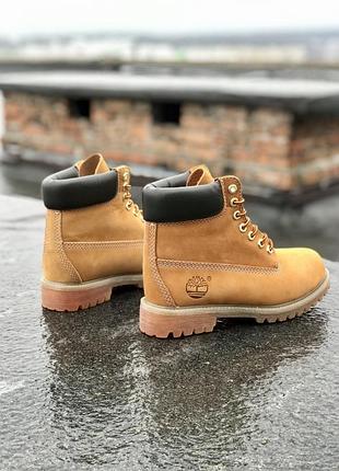 Жіночі ботінки  timberland ginger термо женские ботинки тимберленд