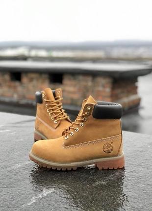 Жіночі ботінки  timberland ginger (мех) женские ботинки тимберленд