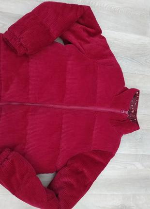 Модная укорочення вельветовая зимняя куртка m&co на девочку 11-12-13 лет2 фото