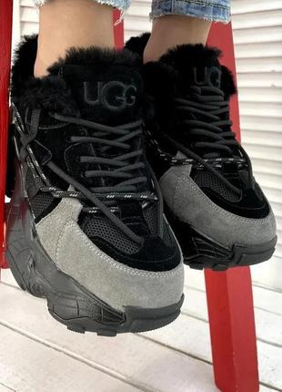 Кросівки ugg