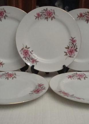 Тарелки - 23.5 см набор 5 шт фарфор япония №т24