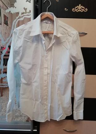 Рубашка colin's.