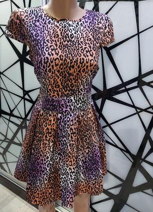 Шикарное платье куколка love label сиренево-терракотовый леопард 14 размер