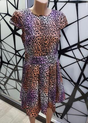 Шикарное платье куколка love label сиренево-терракотовый леопард 14 размер6 фото