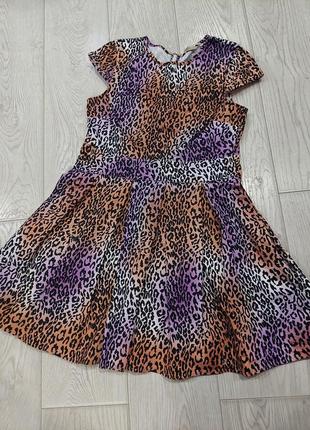 Шикарное платье куколка love label сиренево-терракотовый леопард 14 размер9 фото