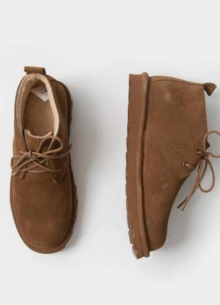 Зимние кроссовки ( ботинки ) bearpaw.