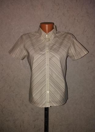 Изящная деловая блузка tom tailor m-l1 фото