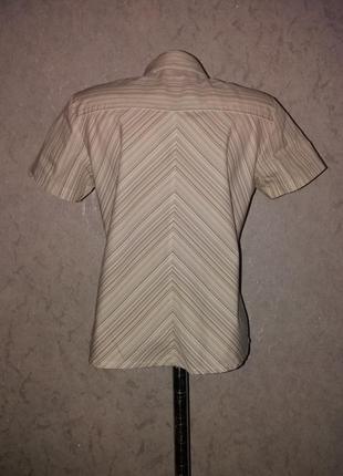 Изящная деловая блузка tom tailor m-l3 фото