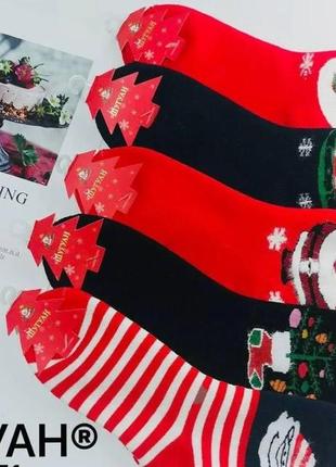 Носки женские термо, шерсть, ангора без махры корона размер 37-41, ассорти