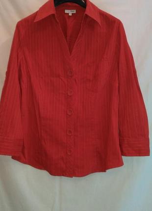 Блуза фирменная для любителей  красного  цвета - суперская1 фото