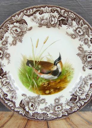 Коллекционная тарелка с птицей. spode, англия