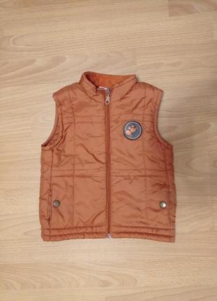 Безрукавка, камізелька, жилетка