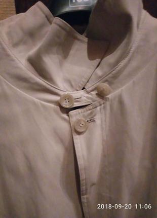 Плащ-пильовик westbury