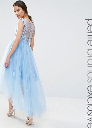 ‼️ сукня міді з спідницею з тюлю і фігурним мереживом ззаду.