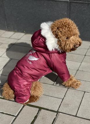Зимний комбинезон для собак на синтепоне подклад плюшевый мех унисекс5 фото