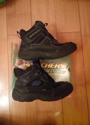 Сапоги skechers 37р3 фото