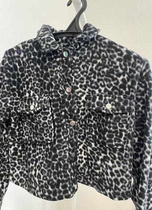 Курика жіноча