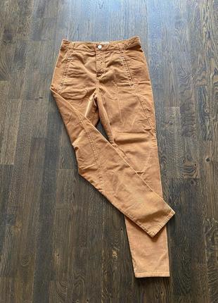 Брендові штани