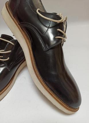 Стильні туфлі чоловічі zign.брендове взуття stock5 фото