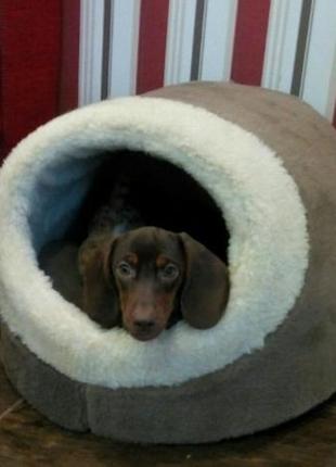 Хатка для котика чи песика