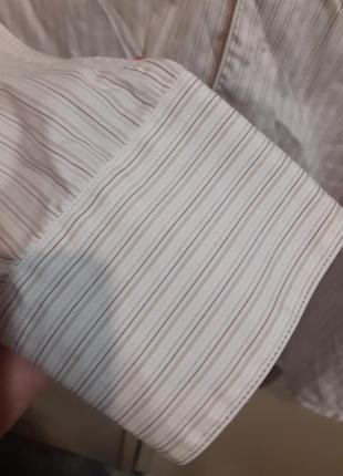 Lacoste рубашка хлопок 4