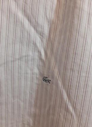Lacoste рубашка хлопок 3