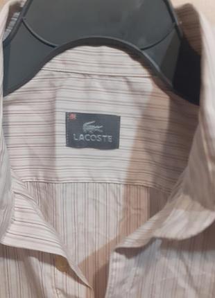 Lacoste рубашка хлопок 2
