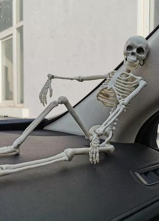 Пожвижная модель скелета 40см, хэллоуин, halloween