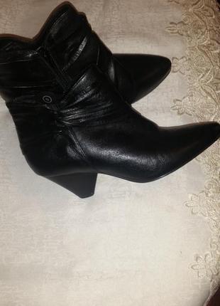 Шкіряні ботінки san marina