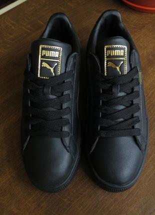 puma basket city