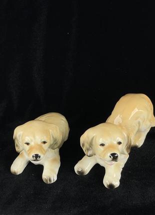 Фігурка собаки foreign спанієль, лабрадор, порцелянова1 фото