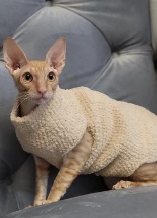 Одяг котику,собачці