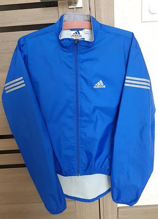 Вітровка дощовик adidas1 фото