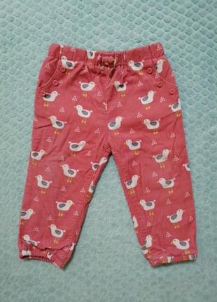 Вилветовые штаны с трикотажной подкладкой