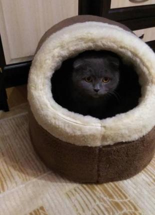 Домик для кошки и собаки