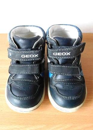 Ботинки кожаные geox 21 р. стелька 13,8 см1 фото