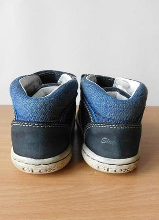 Ботинки кожаные geox 21 р. стелька 13,8 см8 фото