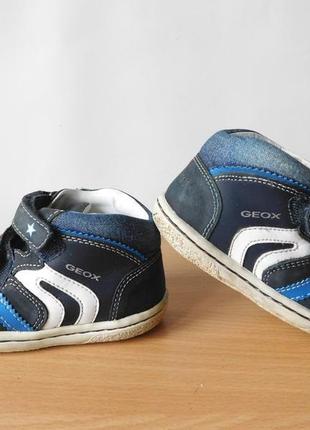 Ботинки кожаные geox 21 р. стелька 13,8 см6 фото