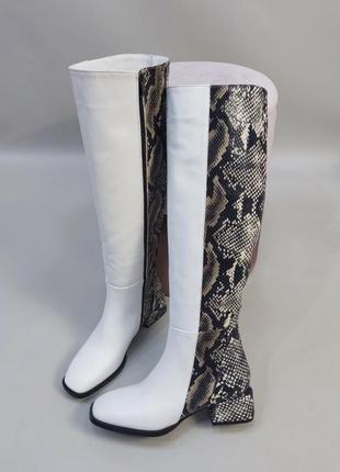 Дизайнерські комбіновані чоботи belucci натуральна шкіра пітон замш зима демісезон