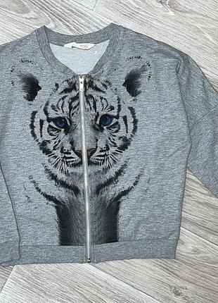 Кофта бомбер на змейке