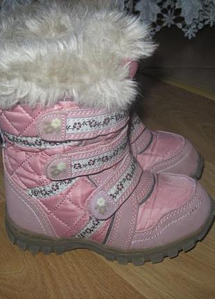 Сапоги ботинки next