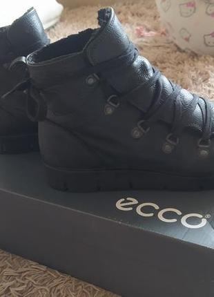 Ботинки ecco