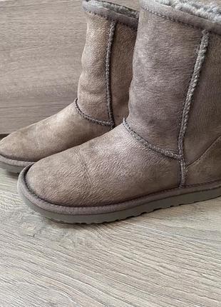 Сапоги ugg оригинал 36