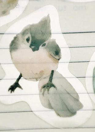 Набір #51 наклейки для скрапбукінгу наліпки стікери красиві зображення  для рукоділля творчості щоденників блокнота записника планер тварини птахи5 фото