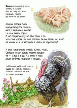 Дитяча енциклопедія про тварин 614005 для дошкільнят9 фото